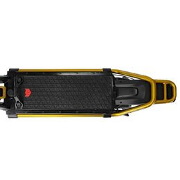 Kaabo Wolf King GTR Golden CZ EDITION