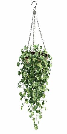 PROGARDEN Květináč závěsný pletený 30 cm KO-435000810