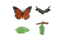 Vývoj motýla babočky plast 4ks na kartě 19,5x22,5x2,5cm