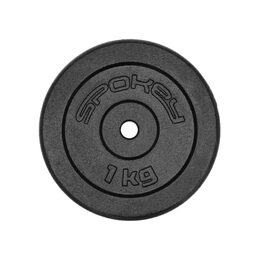 Spokey SINIS Litinový kotouč, 29 mm, 1 kg