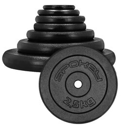 Spokey SINIS Litinový kotouč, 29 mm, 2,5 kg