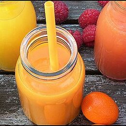 ProfiCook ZP 1154 lis na citrusy