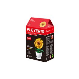 Sluban Flowers M38-B1073  Květiny s očima malé Displej 6 ks