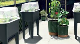 Květináč Prosperplast HOME GROWER na pěstování rajčat 14,5 l antracit