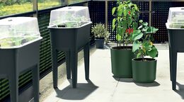 Květináč Prosperplast HOME GROWER na pěstování rajčat 35 l tmavě zelený
