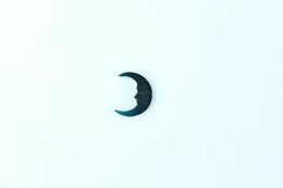 EscapeWelt Dřevěné puzzle Motýl 300 dílků