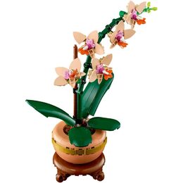 Miniaturní orchidej 10343 LEGO
