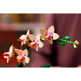 Miniaturní orchidej 10343 LEGO