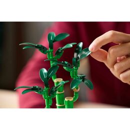 Bambus štěstí 10344 LEGO