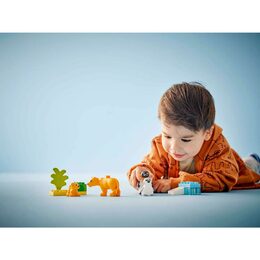 Rodinky div. zvířat: Tučňáci a lvi 10442
