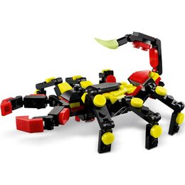 Divoká zvířata: Překvapivý pavouk 31159