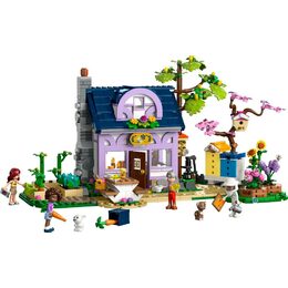 Dům včelařů a květinová zahr. 42669 LEGO