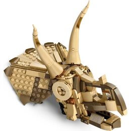 Dinos. fosilie: Lebka triceratopse 76969