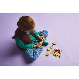 Kreativní jídlo 11039 LEGO