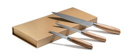 Sada nožů G21 Gourmet Damascus small box 3 ks, rukojeť zebrawood