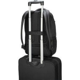 CityGear backpack 17,3 black TARGUS