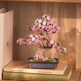 RoboTime 3D dřevěná skládačka Bonsaj sakura