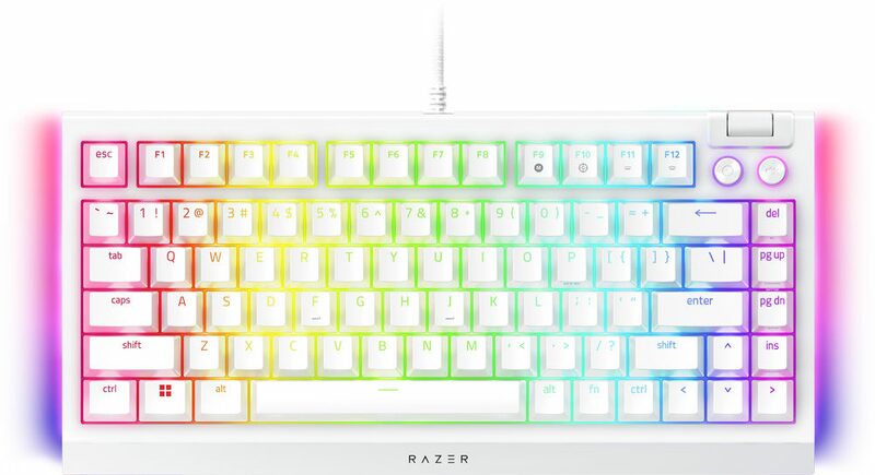 BlackWidow V4 75% - White Ed. US Layout