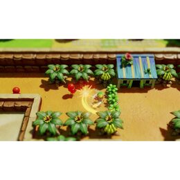 SWITCH The Legend of Zelda: Link's Awak.
