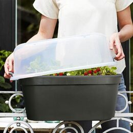 PROGARDEN Truhlík na zábradlí s poklopem 60 cm KO-Y54197930