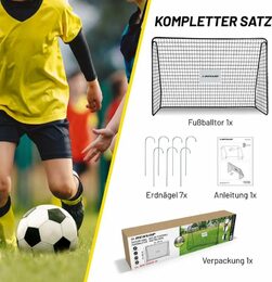 DUNLOP Fotbalová branka 300x205x120 cm ED-200664
