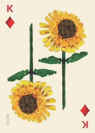 Chronicle Books LEGO® Sada botanických hracích karet