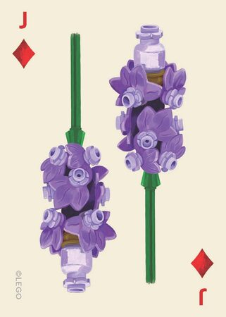 Chronicle Books LEGO® Sada botanických hracích karet