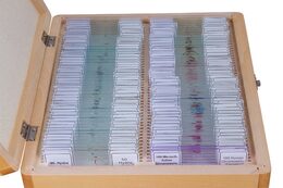 Bresser Prepared Slides 100pcs, w/case
