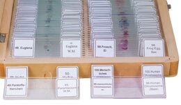 Bresser Prepared Slides 100pcs, w/case
