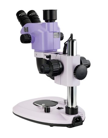 Stereomikroskop MAGUS Stereo 8T