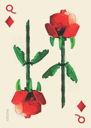 Chronicle Books LEGO® Sada botanických hracích karet