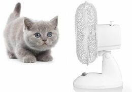 Ventilátor Gallet VEN9
