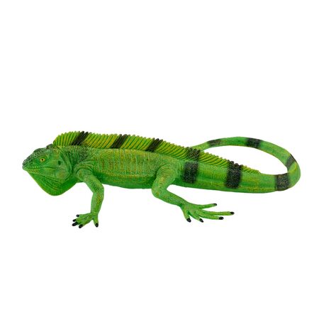 Mojo Leguán