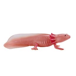 Mojo Axolotl