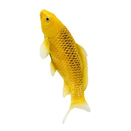 Mojo Kapr koi kin matsuba