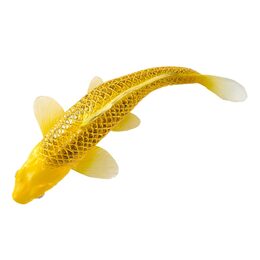 Mojo Kapr koi kin matsuba