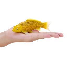 Mojo Kapr koi kin matsuba