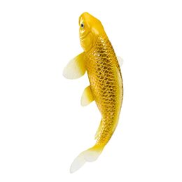 Mojo Kapr koi kin matsuba