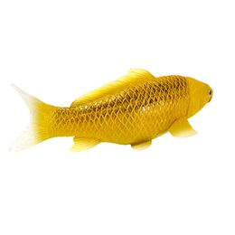 Mojo Kapr koi kin matsuba