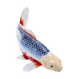 Mojo Kapr koi asagi