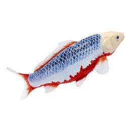 Mojo Kapr koi asagi