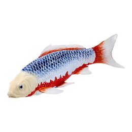 Mojo Kapr koi asagi
