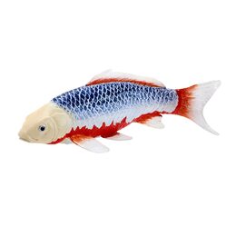 Mojo Kapr koi asagi