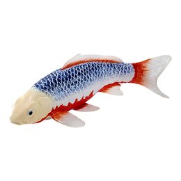 Mojo Kapr koi asagi