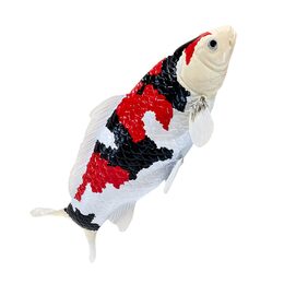 Mojo Kapr koi showa sanshoku