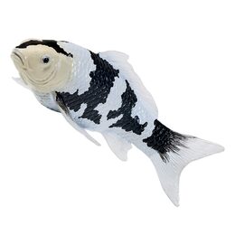 Mojo Kapr koi shiro utsuri
