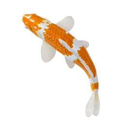 Mojo Kapr koi ochiba shigure