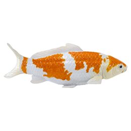Mojo Kapr koi ochiba shigure
